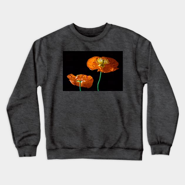 Orange And Black Crewneck Sweatshirt by KirtTisdale